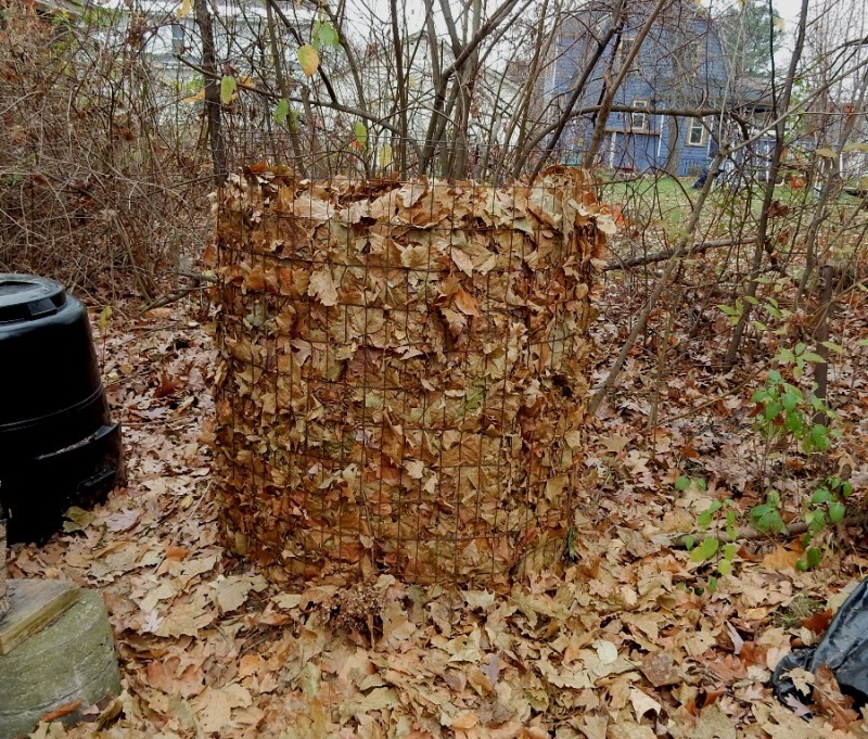 How to Compost Autumn Leaves - Howcast How to Compost Autumn Leaves - Howcast