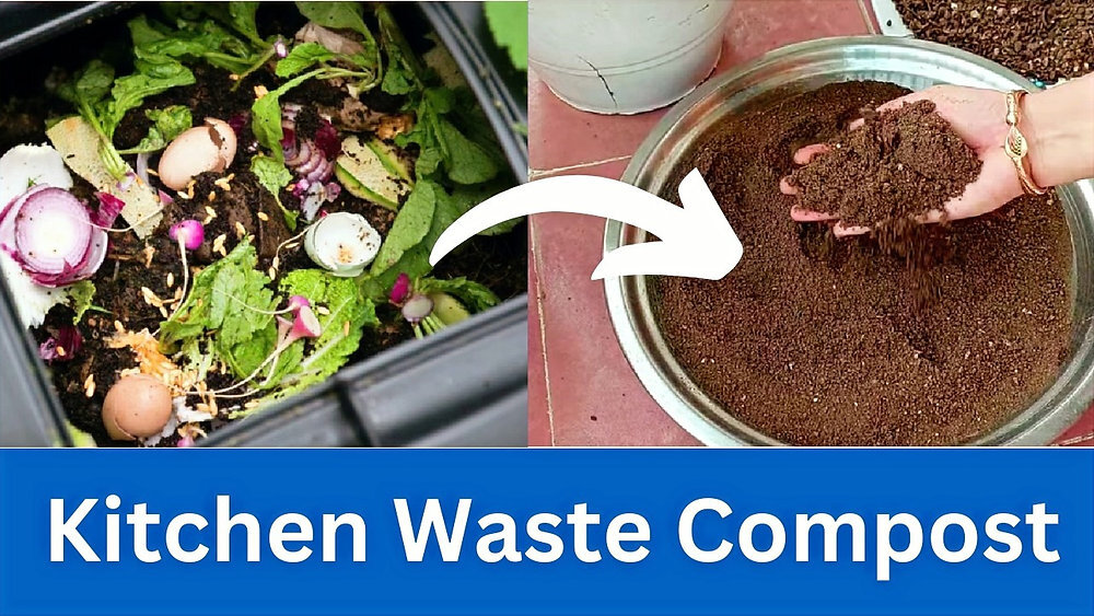 Composting Kitchen Scraps - Tips For Composting Kitchen Waste ...