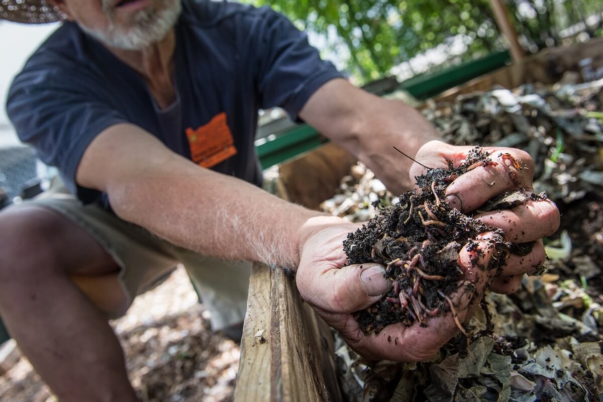 Pet Waste Management Tips For Homesteaders • Insteading Pet Waste Management Tips For Homesteaders • Insteading