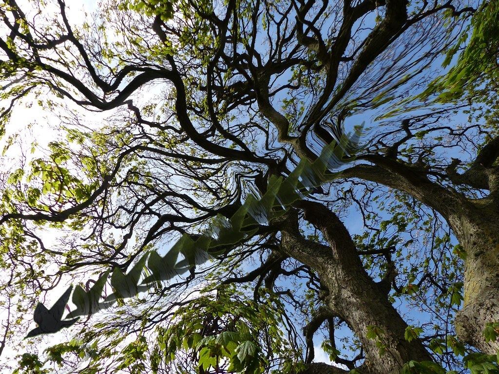 Malaysia | Open Borders: The Case Malaysia | Open Borders: The Case