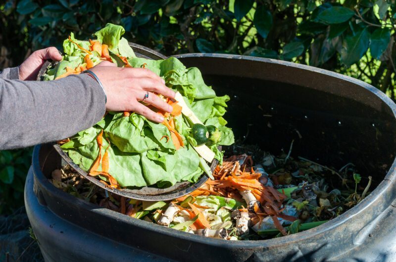 13 Common Composting Mistakes And How To Avoid Them 13 Common Composting Mistakes And How To Avoid Them