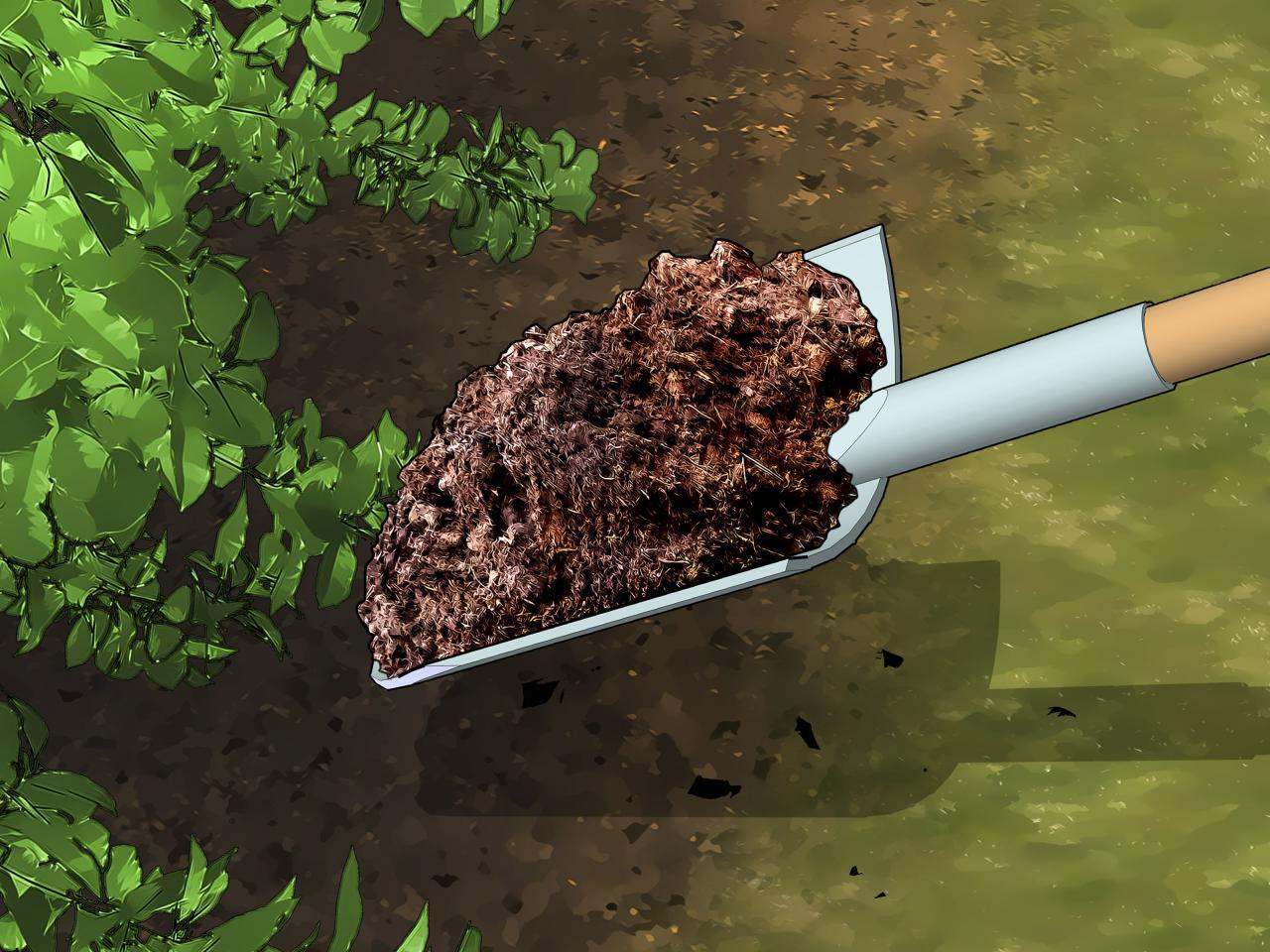 Composting Autumn Leaves for a Sustainable Garden Turn Food Waste and ... Composting Autumn Leaves for a Sustainable Garden Turn Food Waste and ...