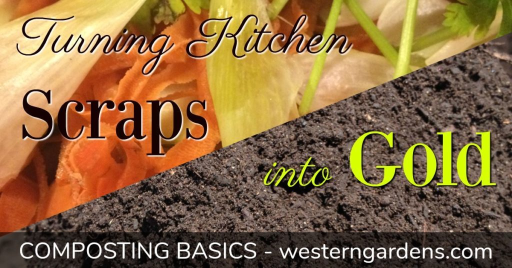 How to Compost Your Kitchen Scraps - Western Garden Centers