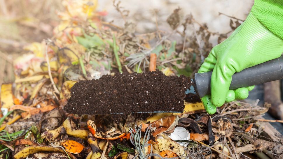 7 composting mistakes to avoid | Tom's Guide 7 composting mistakes to avoid | Tom's Guide