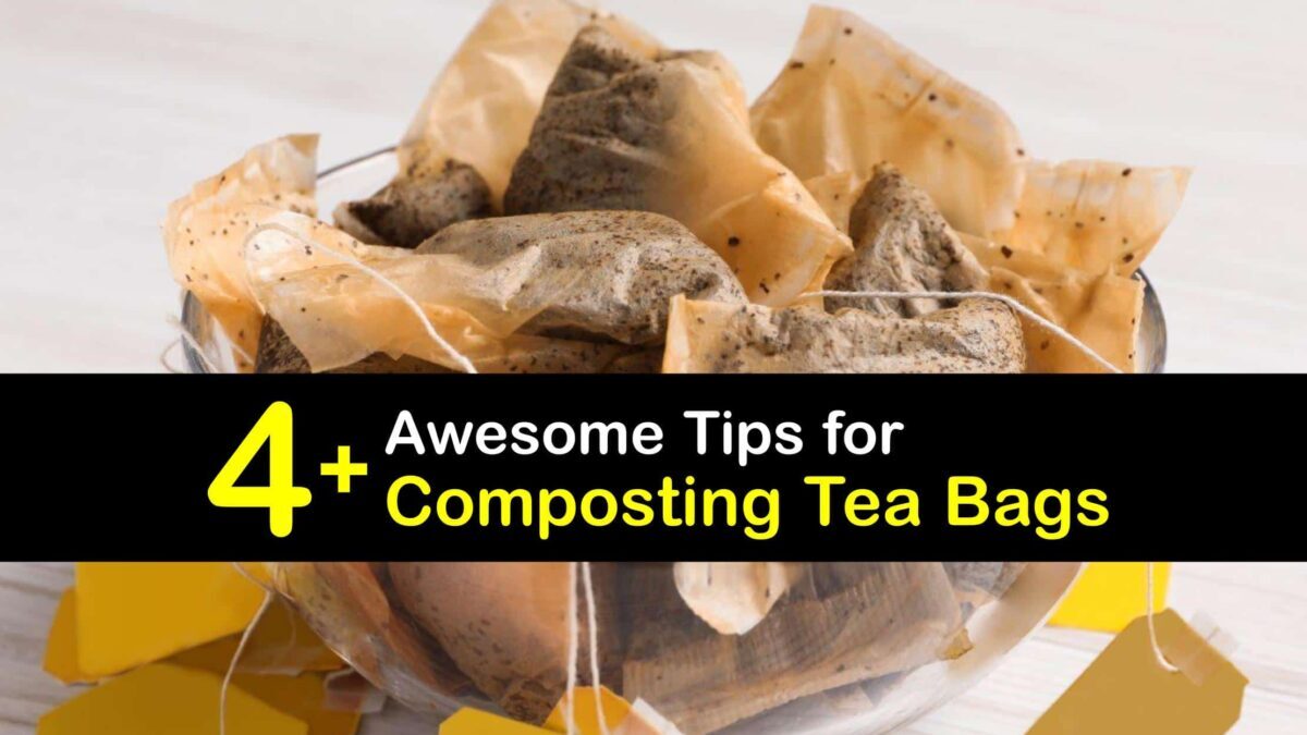 Composting Tea Bags - Are Tea Bags Good for Compost Composting Tea Bags - Are Tea Bags Good for Compost