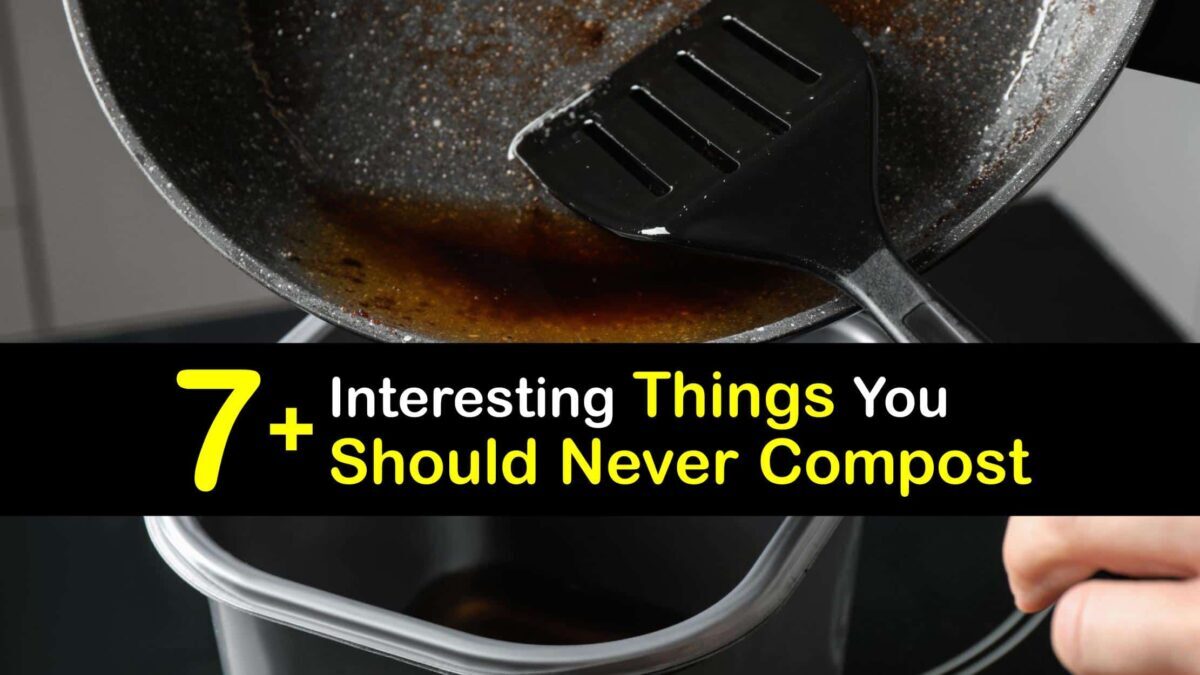 Don't Add These Items to the Composter - What Not to Compost Don't Add These Items to the Composter - What Not to Compost