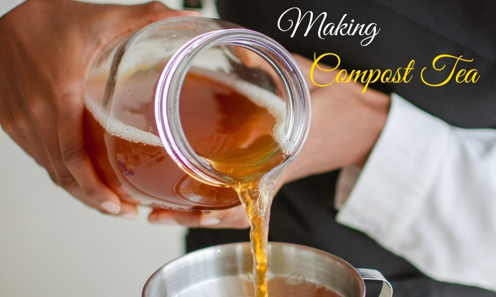 A DIY Guide on How to Make Compost Tea for Plants at Home ... A DIY Guide on How to Make Compost Tea for Plants at Home ...