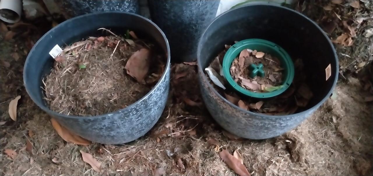 8 Ways to Compost Dog Waste at Home - DCS 8 Ways to Compost Dog Waste at Home - DCS