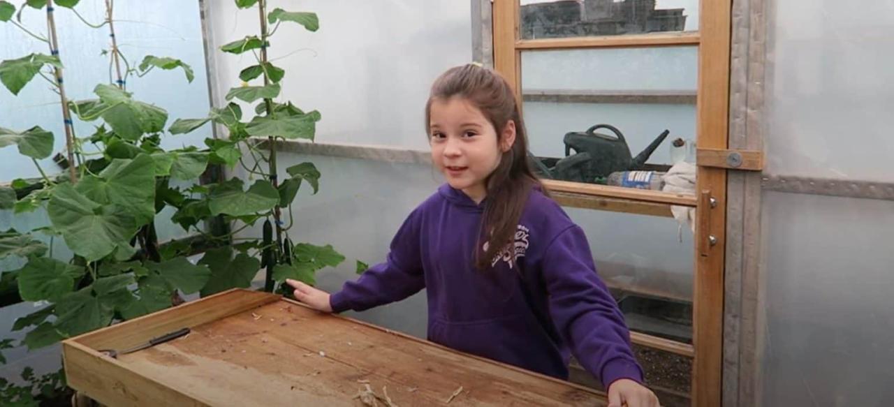 Autumn Leaves On Compost Free Stock Photo - Public Domain Pictures Autumn Leaves On Compost Free Stock Photo - Public Domain Pictures