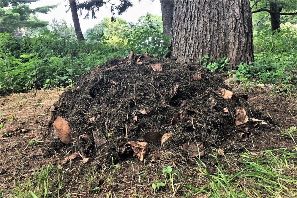 How To Speed Up A Compost Pile - 5 Easy Tips - Geeky Greenhouse How To Speed Up A Compost Pile - 5 Easy Tips - Geeky Greenhouse