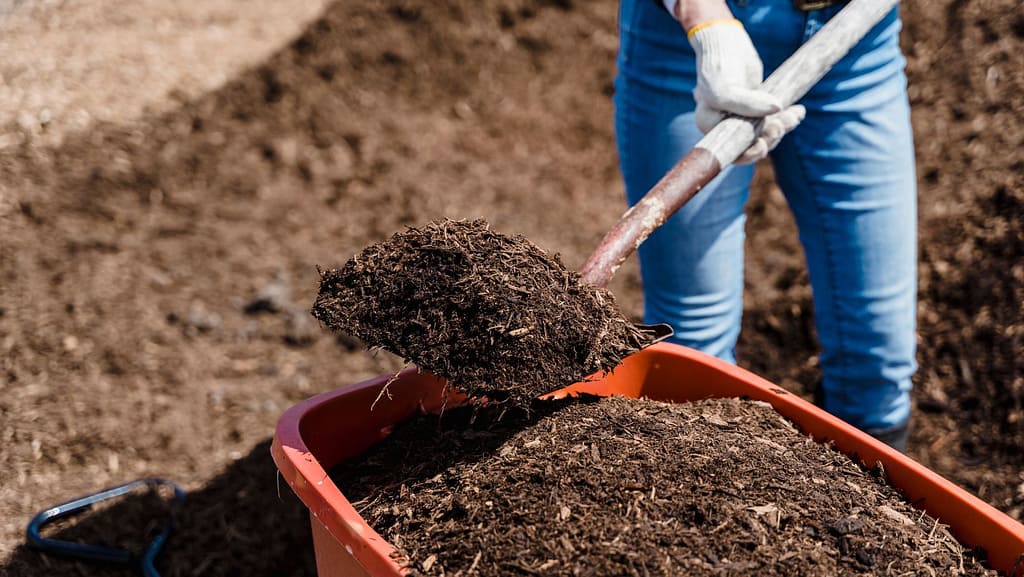 How to Tell if Your Compost is Ready How to Tell if Your Compost is Ready
