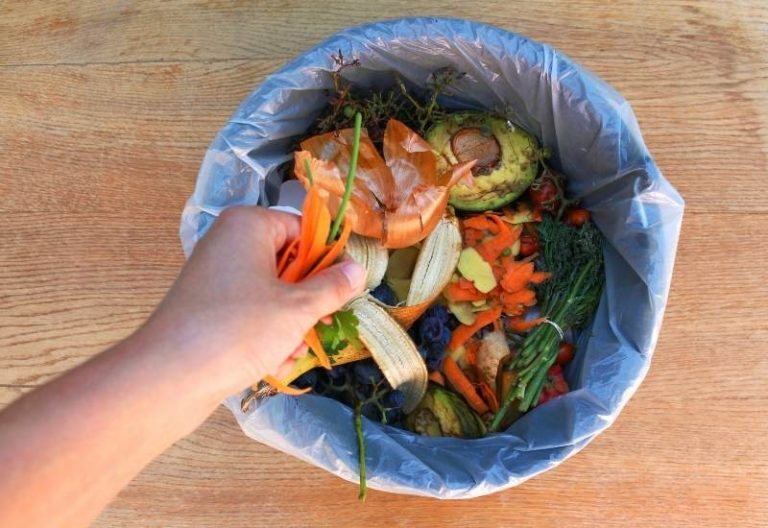 21 Items You Shouldn’t Compost 21 Items You Shouldn’t Compost