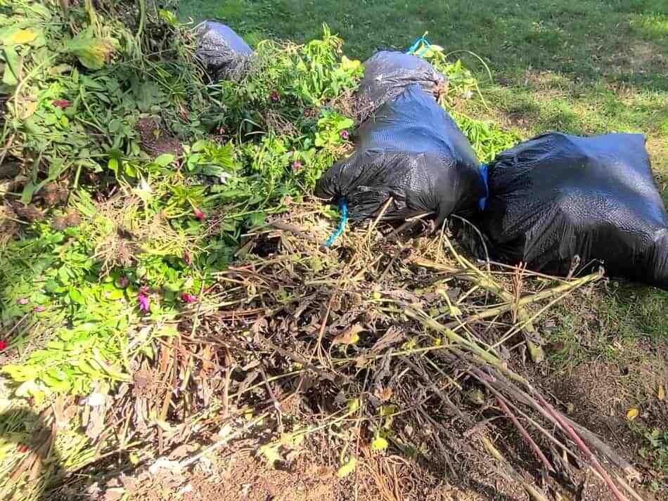 Heat Up Your Backyard Composting // How To Get Finished Compost FASTER ...