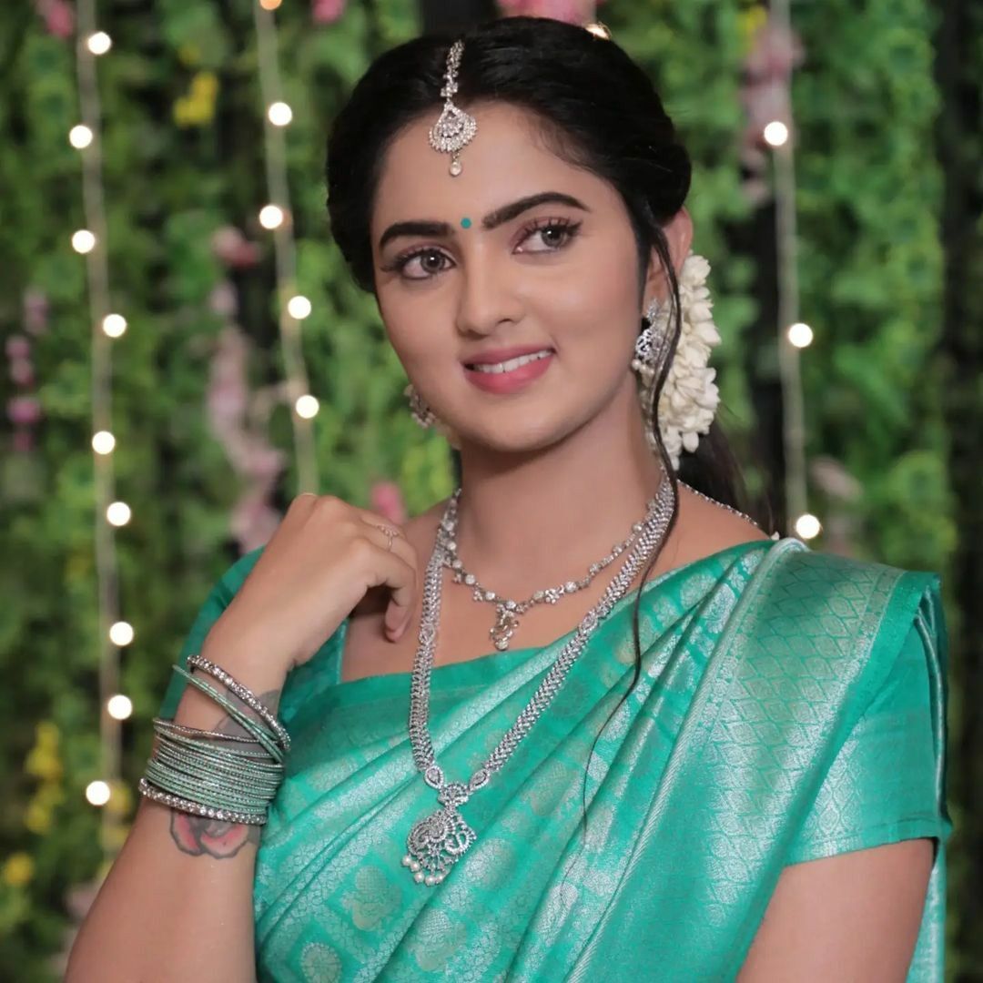 Gourmet Hot Dogs – Modern Honey Gourmet Hot Dogs – Modern Honey