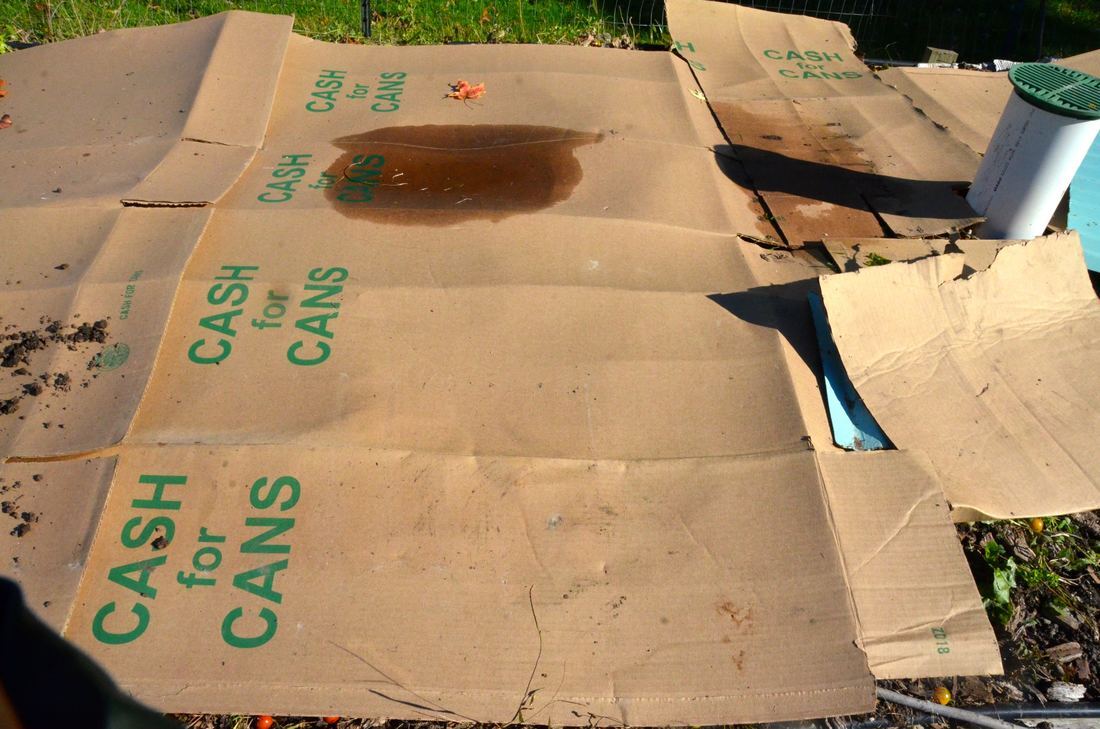 How to Shred Cardboard for Compost How to Shred Cardboard for Compost