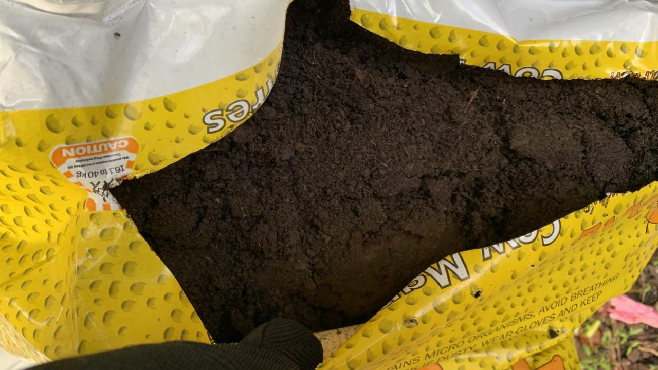 Best Compost for Fruit Trees | Easy Guide to Boost Your Harvest - Eco ... Best Compost for Fruit Trees | Easy Guide to Boost Your Harvest - Eco ...