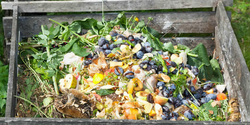 Five best kitchen scraps to make the most effective compost