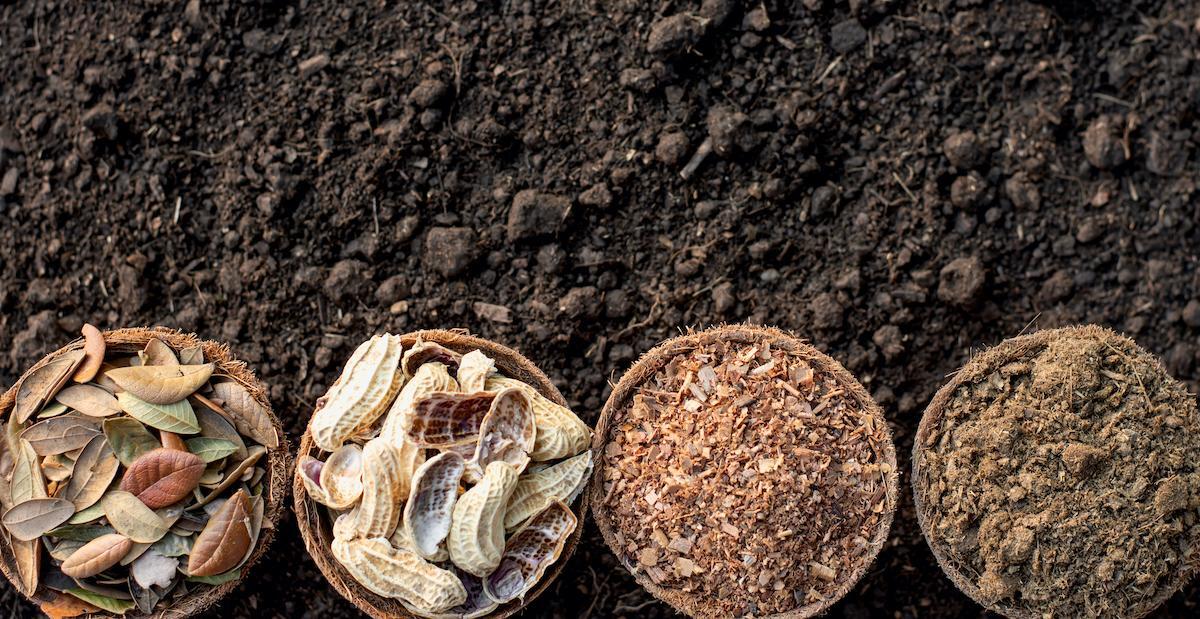 Experts Answer: How to Compost and Utilise Dry Leaves in a Small Space