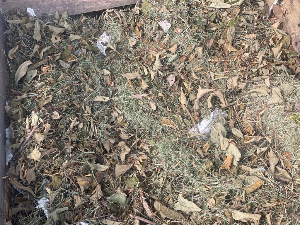 How to Start a Compost Pile: A Beginner's Guide How to Start a Compost Pile: A Beginner's Guide