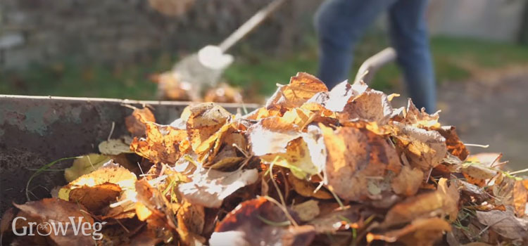 Compost Masterclass: The Easy Way to Make Compost Compost Masterclass: The Easy Way to Make Compost