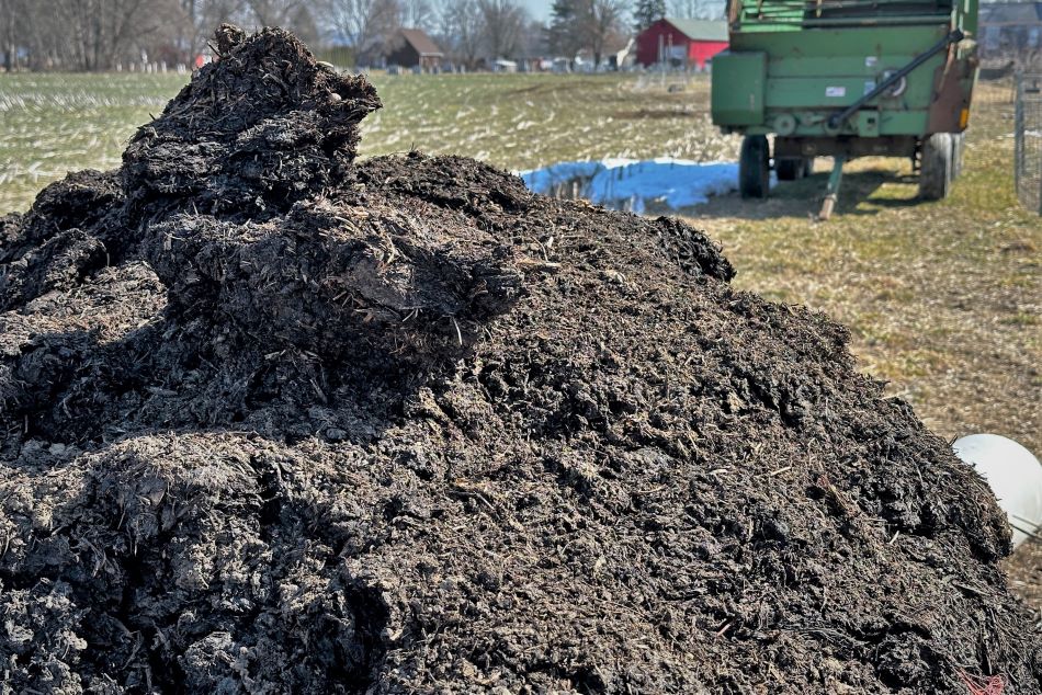 What to Do If Your Compost Pile is Too Hot What to Do If Your Compost Pile is Too Hot