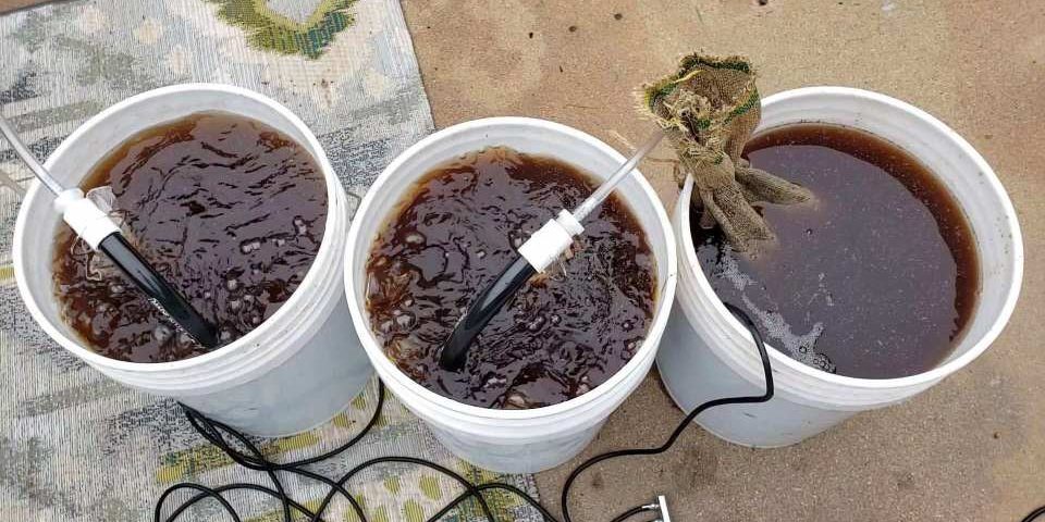 How to Make Organic Tea, Compost Tea for Your Plants – Organic Urban ... How to Make Organic Tea, Compost Tea for Your Plants – Organic Urban ...