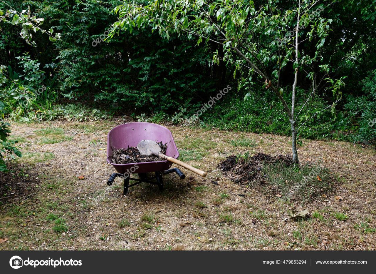 Garden Chore Spreading Compost Fruit Trees — Stock Photo © ADW #479853294 Garden Chore Spreading Compost Fruit Trees — Stock Photo © ADW #479853294