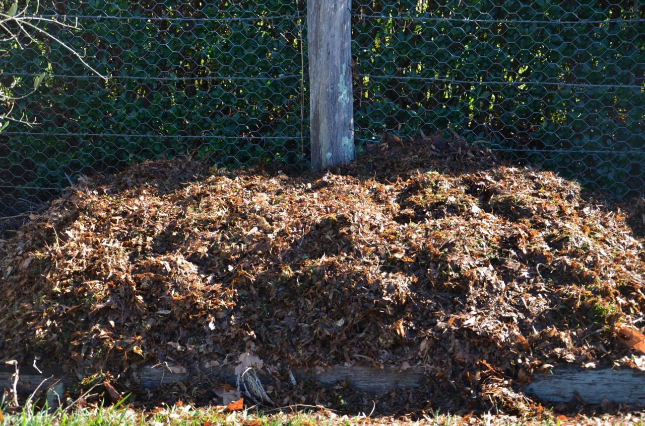 10 Tips for Leaf Composting This Fall 10 Tips for Leaf Composting This Fall