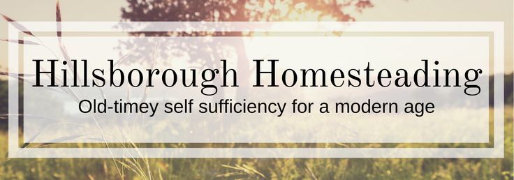 How Can You Use Wood Ash in the Household? What Can You Do with It ... How Can You Use Wood Ash in the Household? What Can You Do with It ...