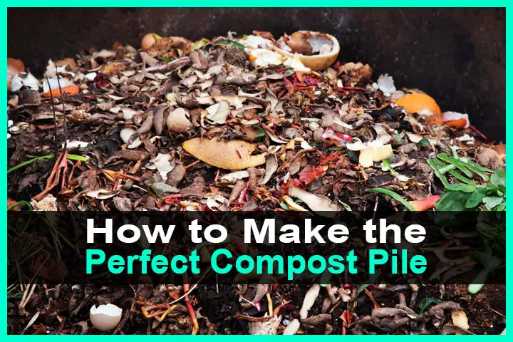 How to Make the Perfect Compost Pile How to Make the Perfect Compost Pile