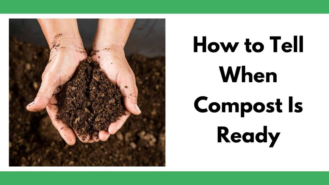 How Do You Know When Compost is Ready? The big question. How Do You Know When Compost is Ready? The big question.
