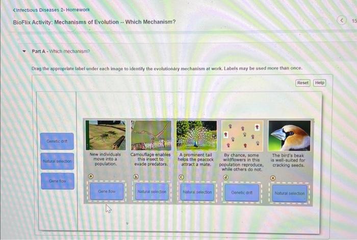 [FREE] the drop-down menus to identify the organelles labeled on the ...