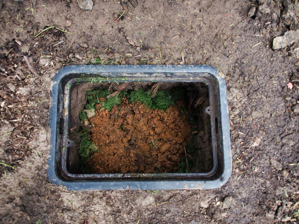 How to Compost Pet Waste in 7 Easy Steps! How to Compost Pet Waste in 7 Easy Steps!