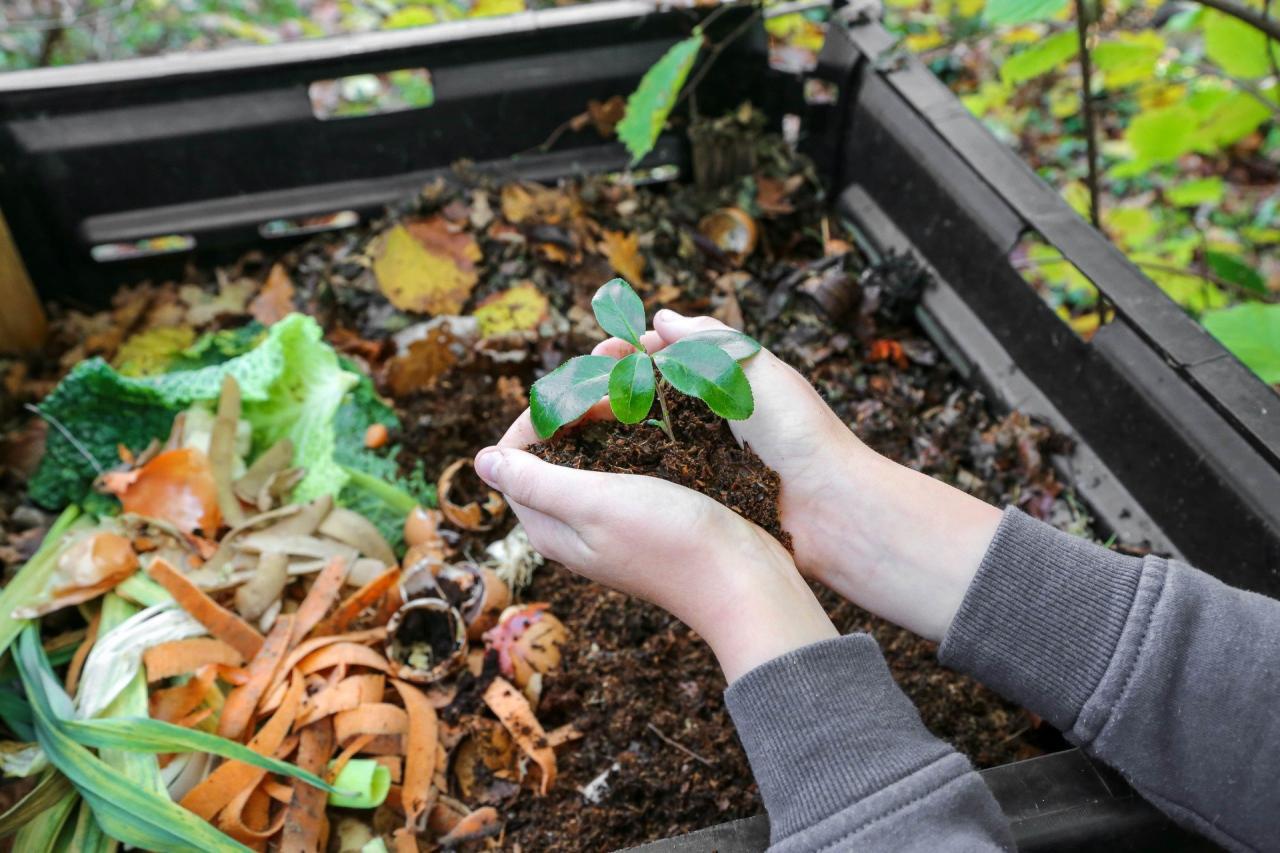 The benefits of composting for the environment The benefits of composting for the environment