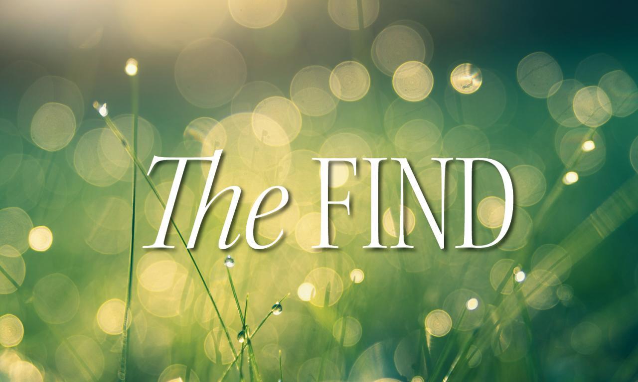 The Find | Sarasota Scene Magazine The Find | Sarasota Scene Magazine