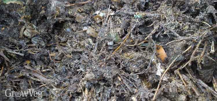 How To Stop Your Compost Pile Attracting Pests