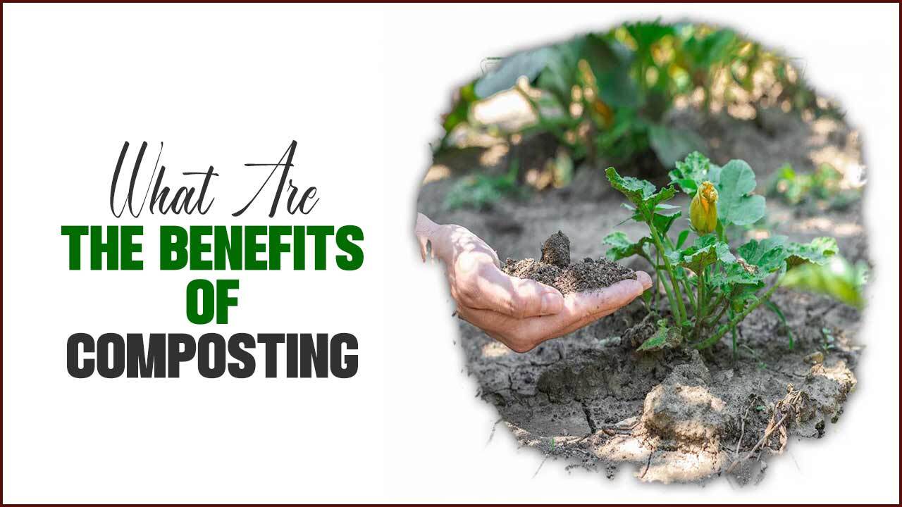 What Are The Benefits Of Composting: A Comprehensive Guide What Are The Benefits Of Composting: A Comprehensive Guide