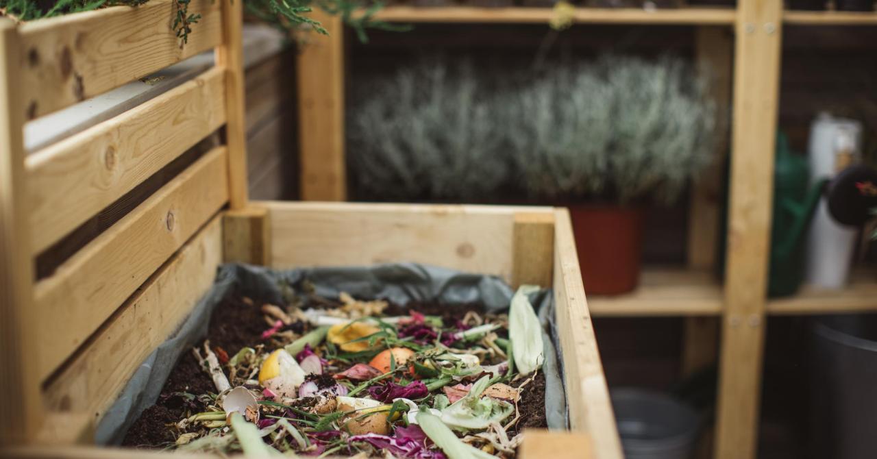 Is Your Compost Healthy, Ready, and Finished (1) – Do Not Disturb Gardening Is Your Compost Healthy, Ready, and Finished (1) – Do Not Disturb Gardening